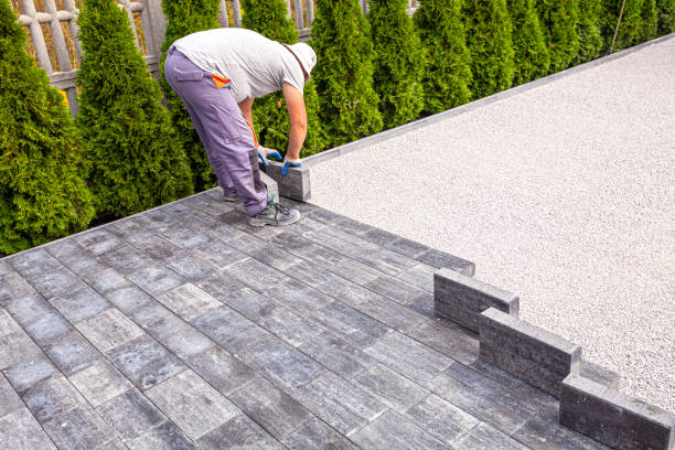 Best Professional Driveway Pavers  in Hayfield, MN